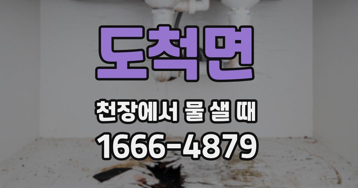 도척면 천장에서 물 샐 때
