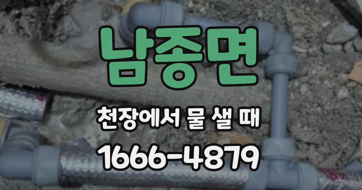 남종면 천장에서 물 샐 때