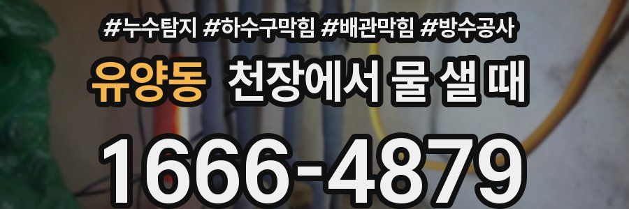 유양동 천장에서 물 샐 때