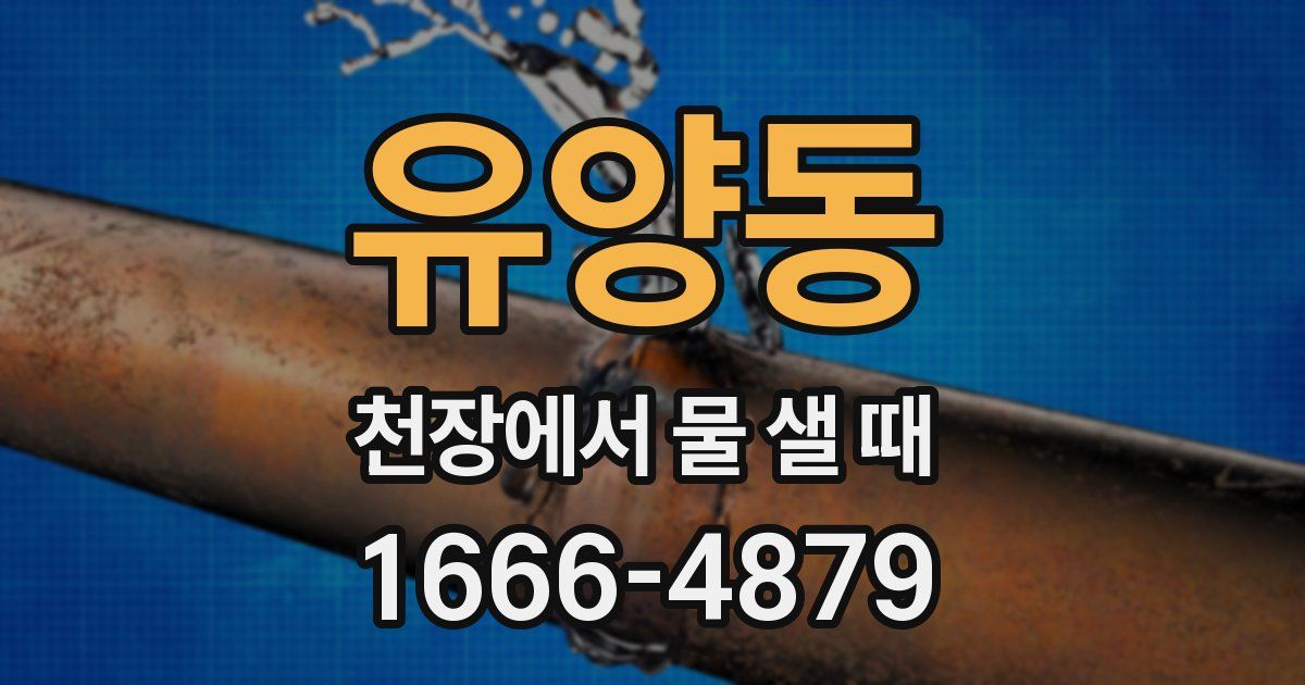 유양동 천장에서 물 샐 때