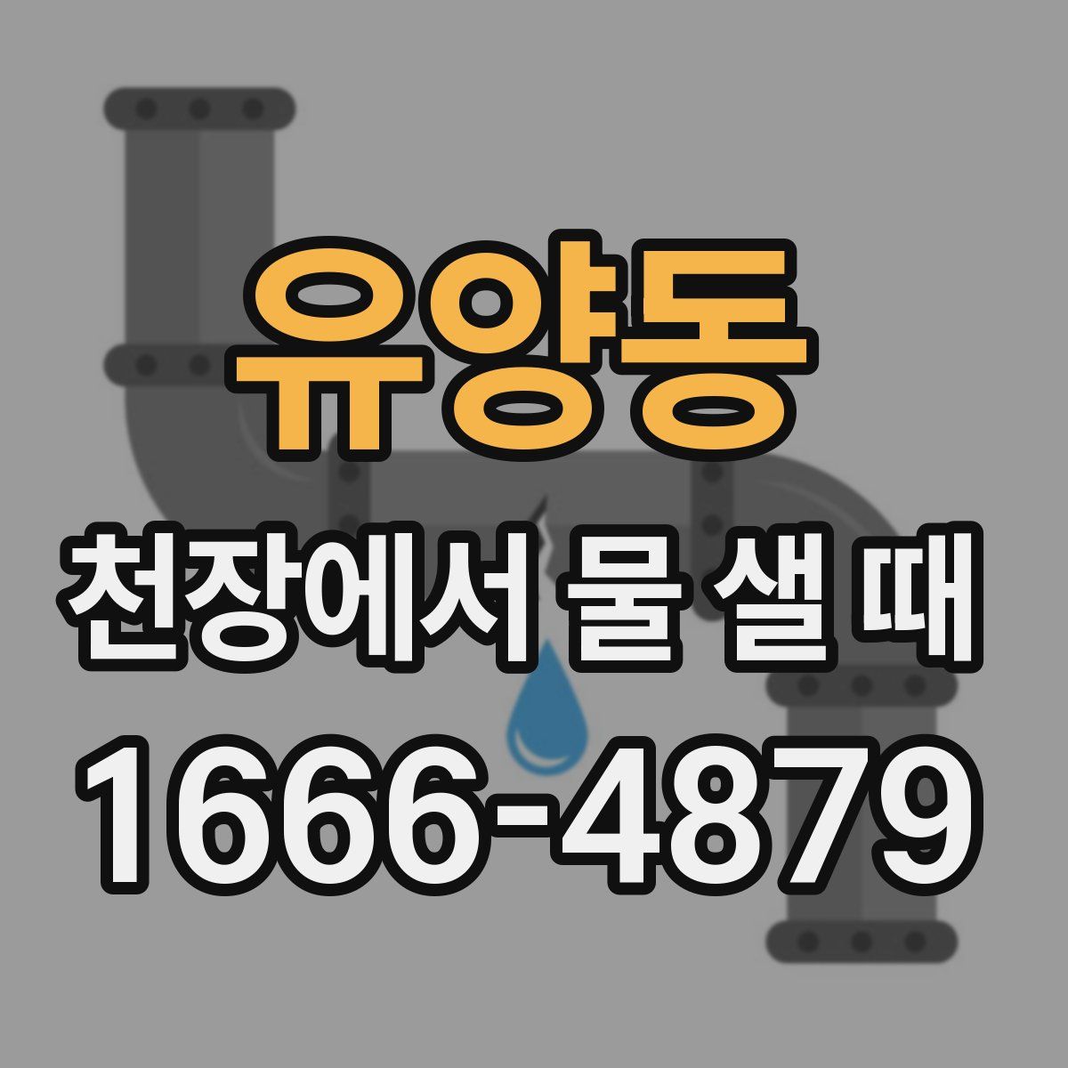 유양동 천장에서 물 샐 때