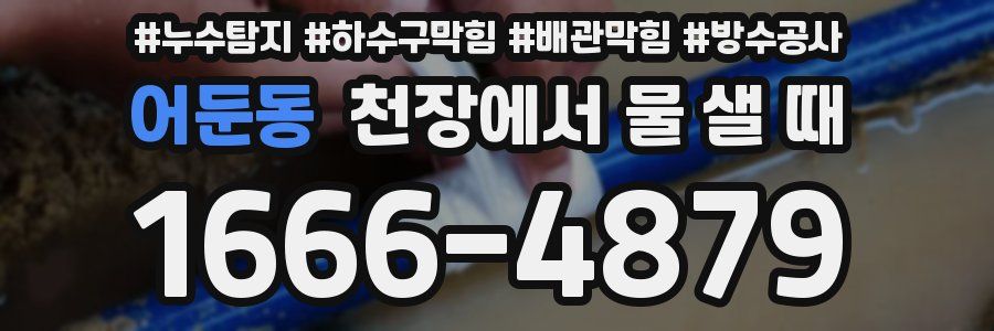 어둔동 천장에서 물 샐 때