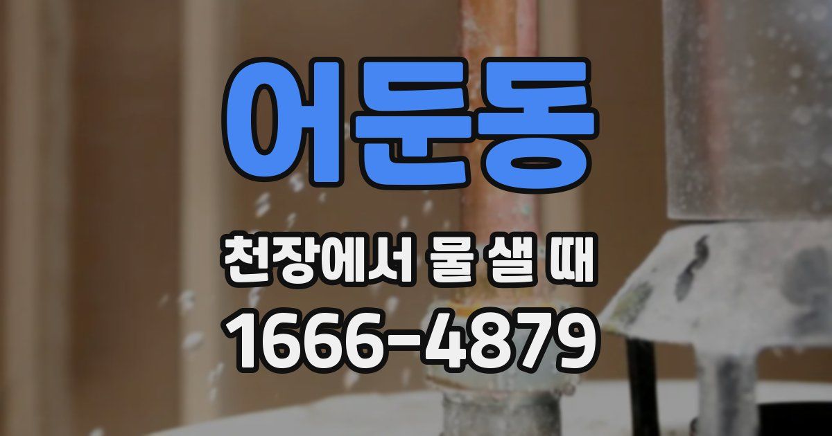 어둔동 천장에서 물 샐 때