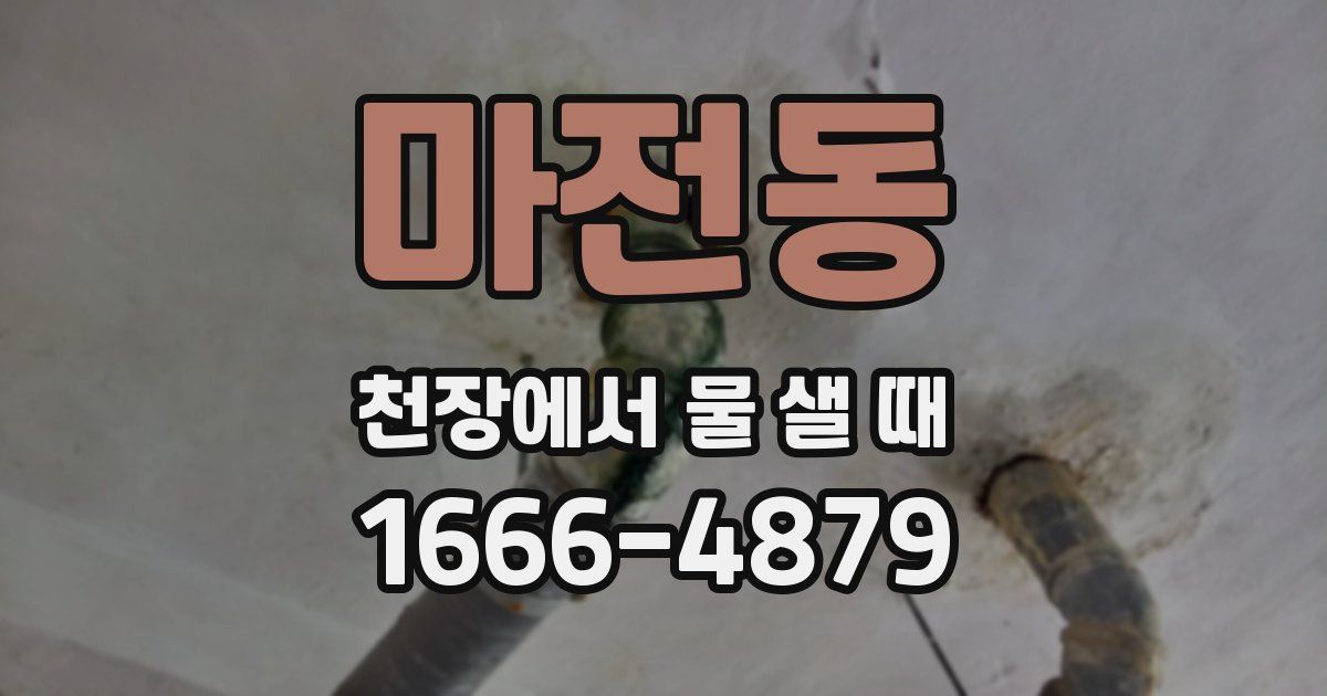 마전동 천장에서 물 샐 때