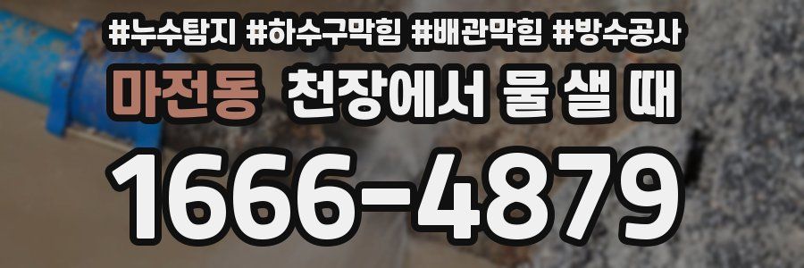마전동 천장에서 물 샐 때