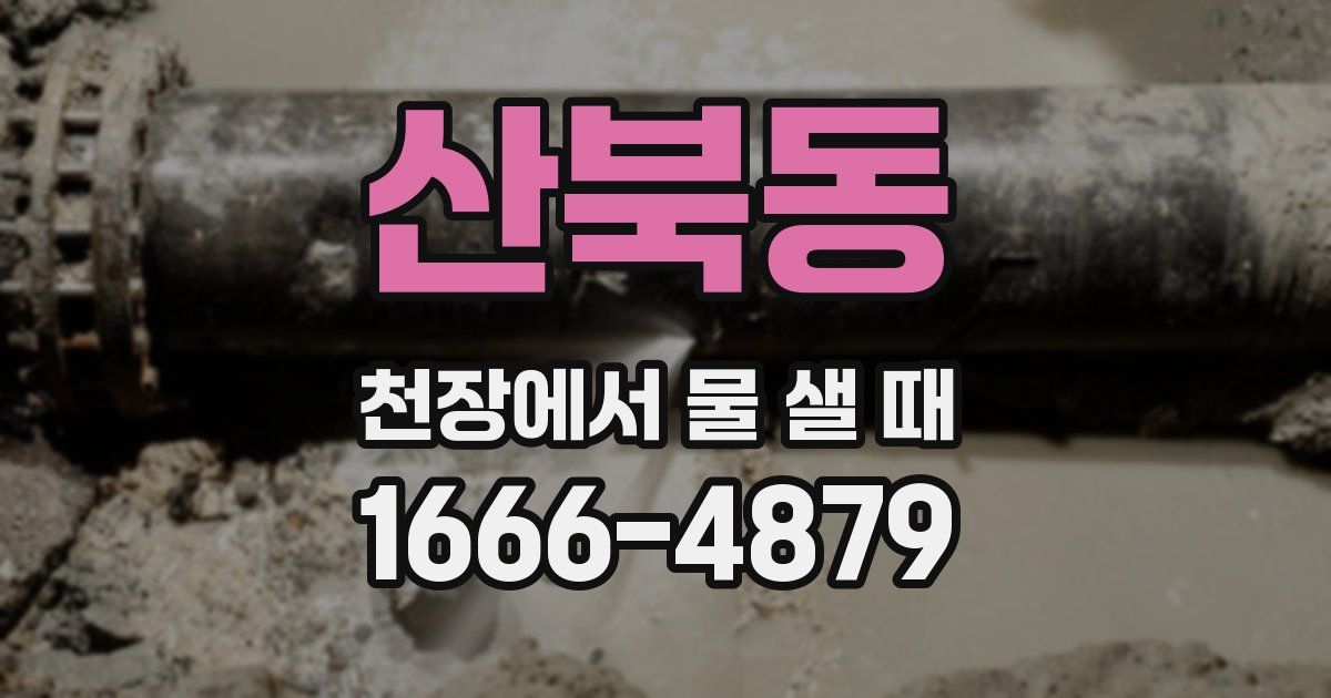 산북동 천장에서 물 샐 때