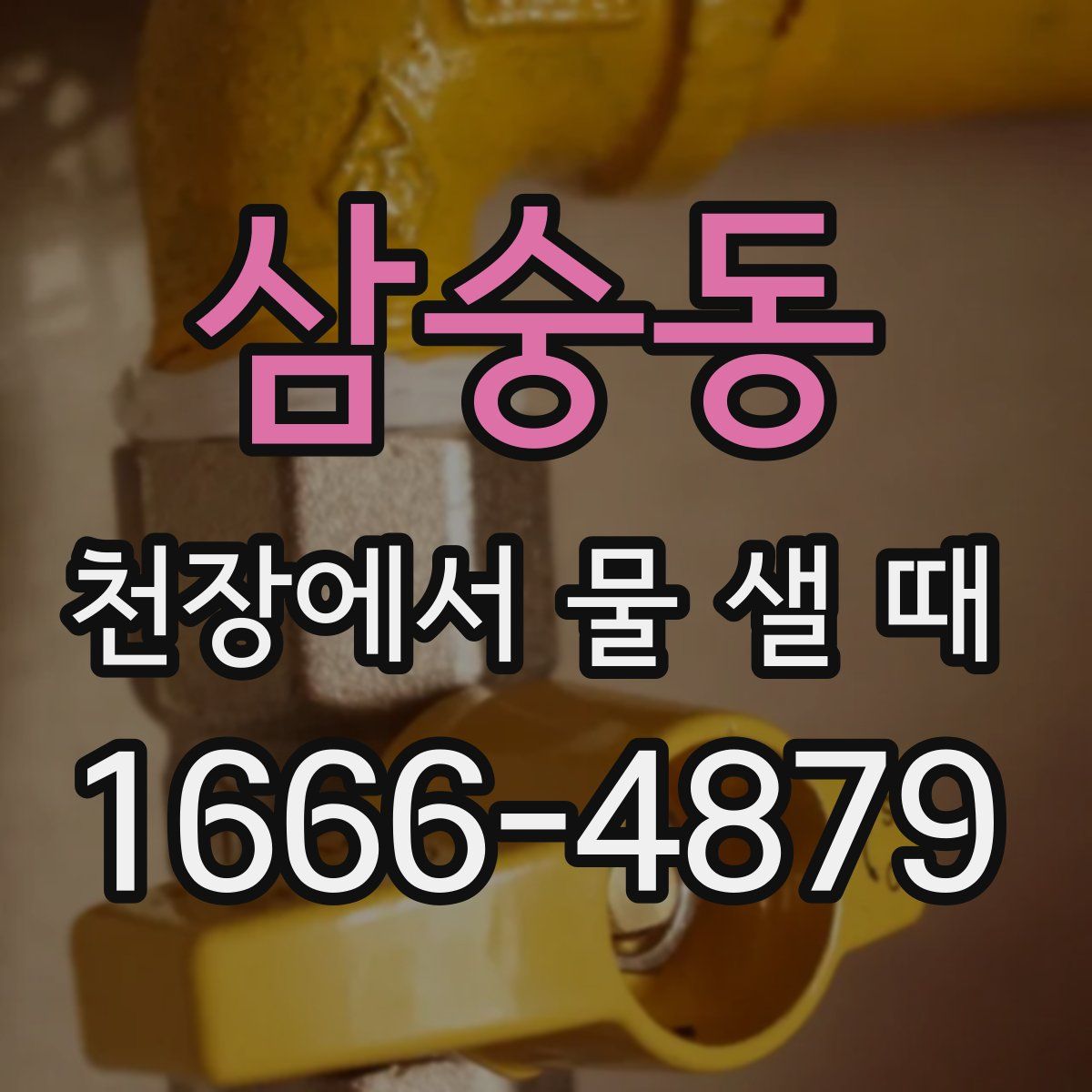 삼숭동 천장에서 물 샐 때