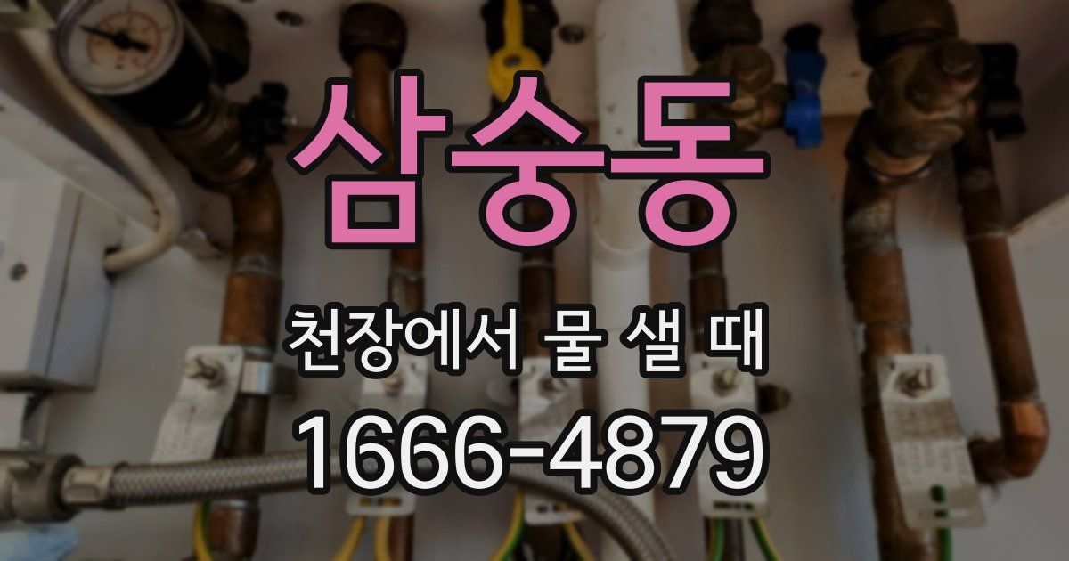삼숭동 천장에서 물 샐 때
