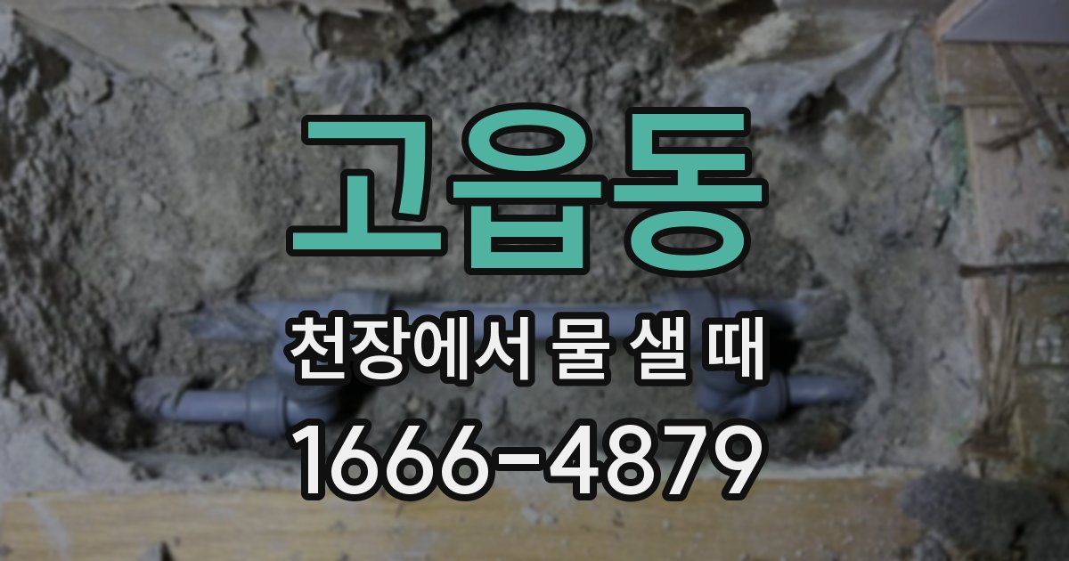 고읍동 천장에서 물 샐 때