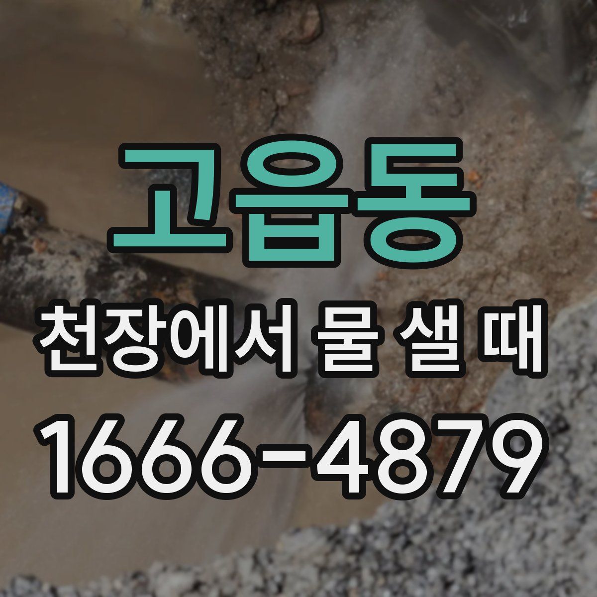 고읍동 천장에서 물 샐 때