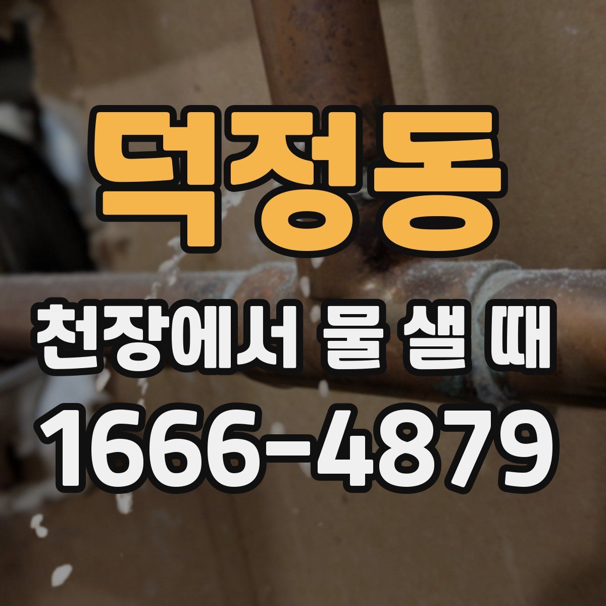 덕정동 천장에서 물 샐 때