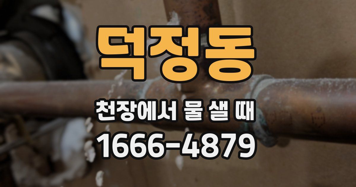 덕정동 천장에서 물 샐 때