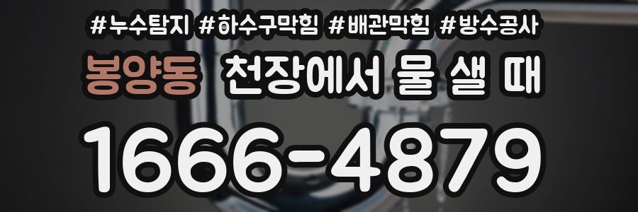 봉양동 천장에서 물 샐 때