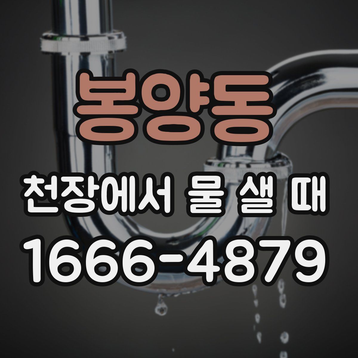 봉양동 천장에서 물 샐 때