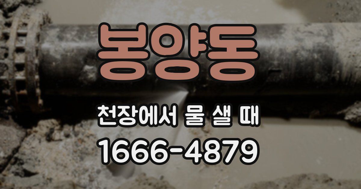 봉양동 천장에서 물 샐 때