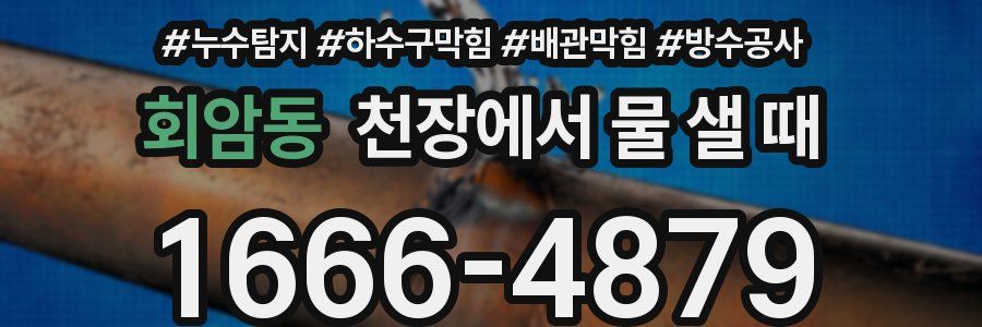 회암동 천장에서 물 샐 때