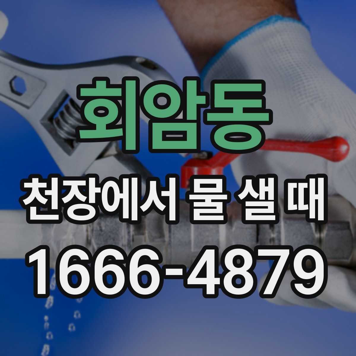 회암동 천장에서 물 샐 때