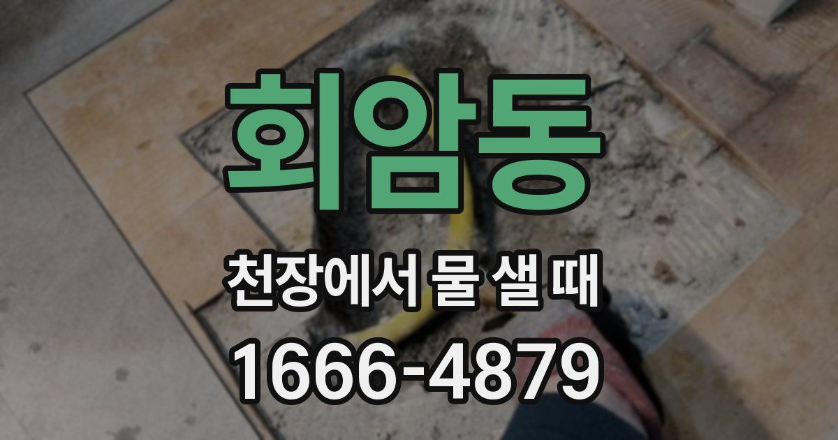 회암동 천장에서 물 샐 때