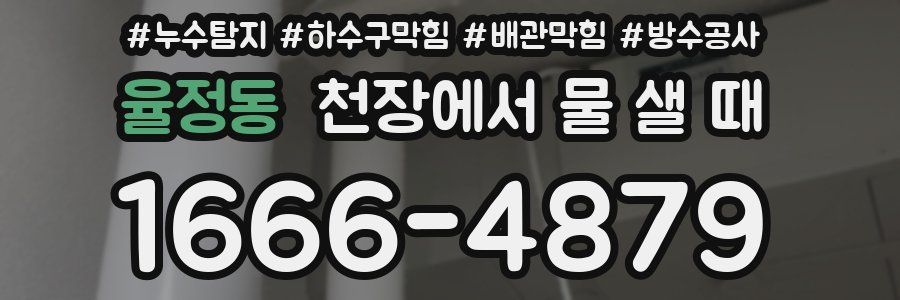 율정동 천장에서 물 샐 때