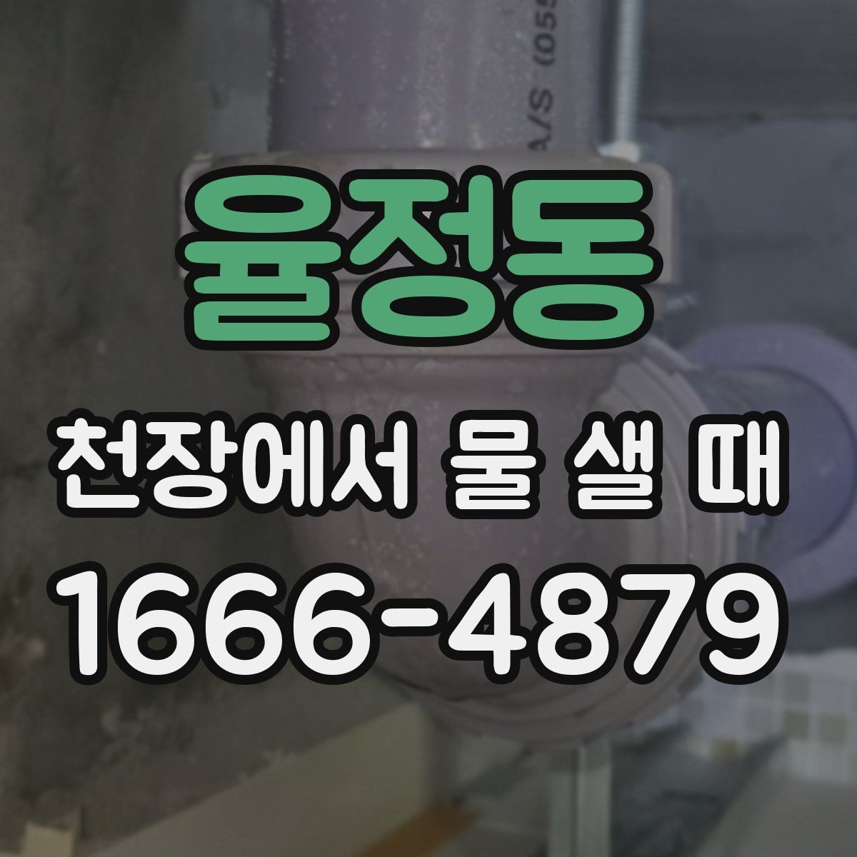 율정동 천장에서 물 샐 때