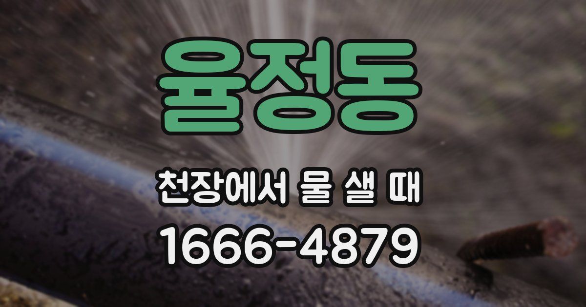 율정동 천장에서 물 샐 때