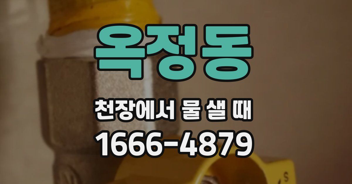 옥정동 천장에서 물 샐 때