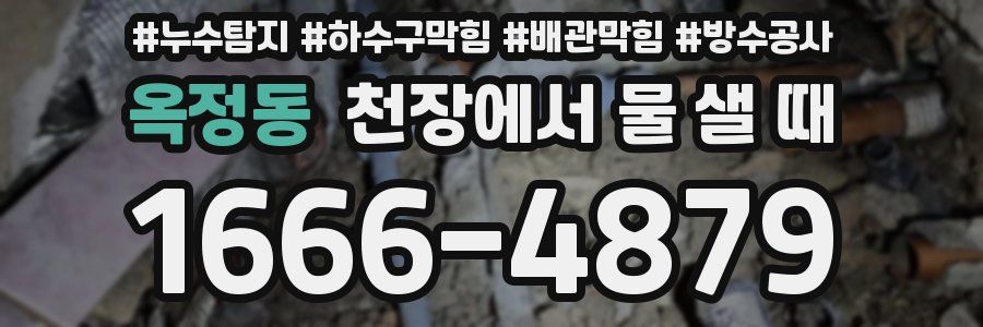 옥정동 천장에서 물 샐 때