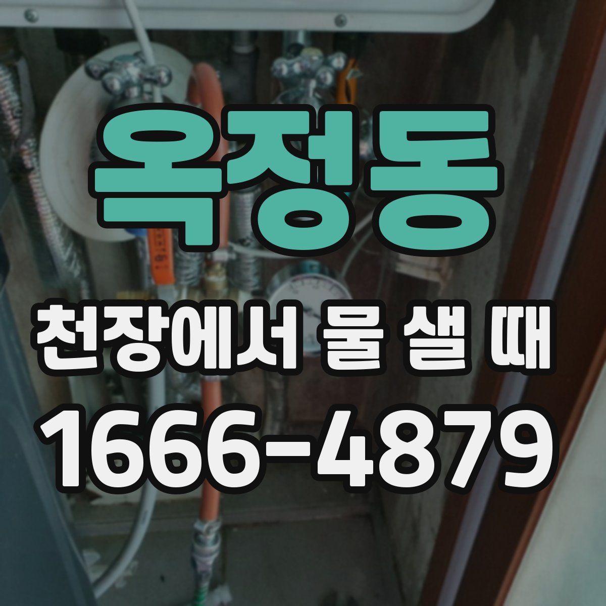 옥정동 천장에서 물 샐 때