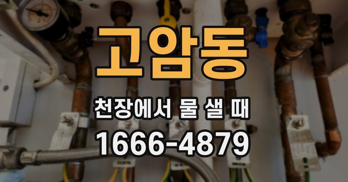 고암동 천장에서 물 샐 때