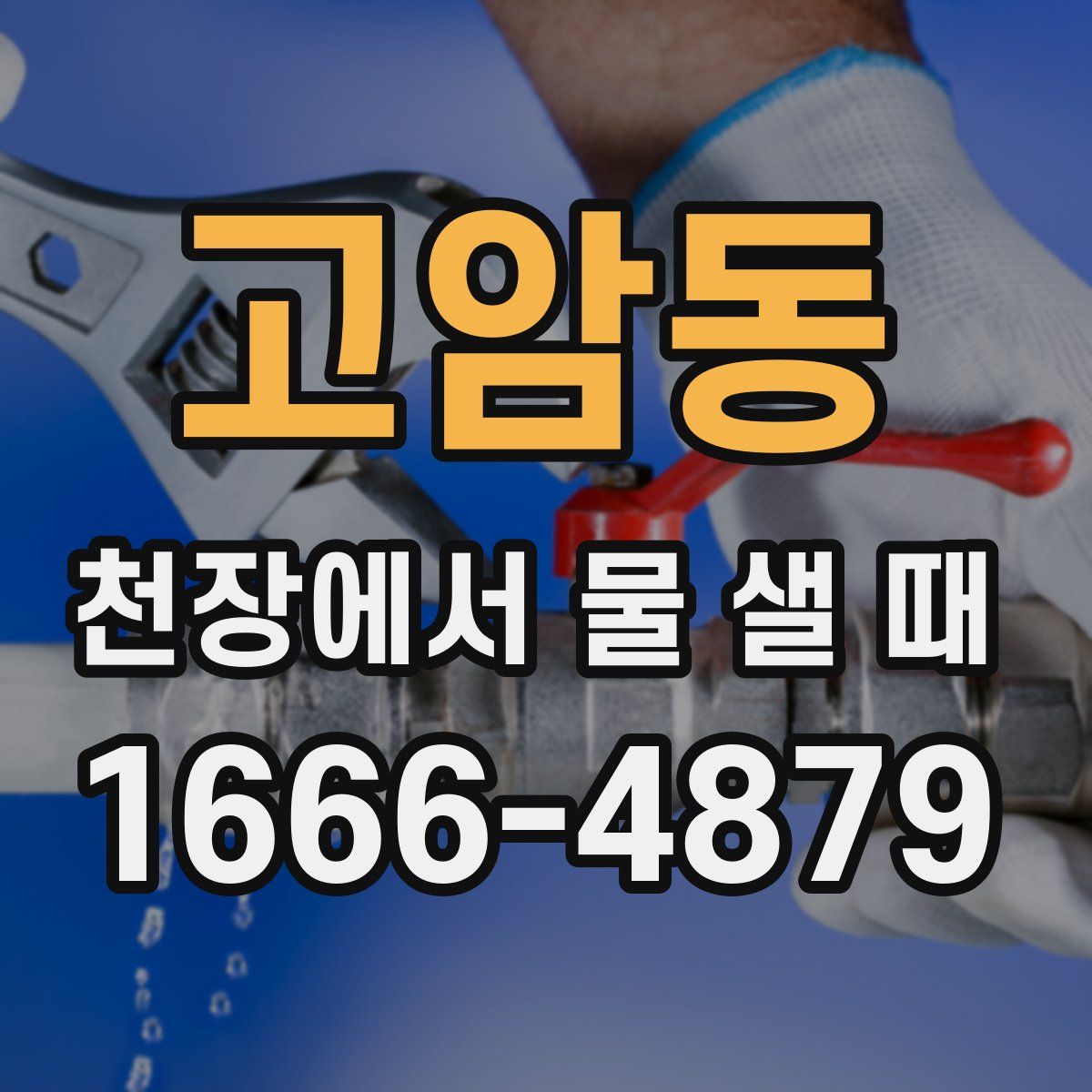 고암동 천장에서 물 샐 때