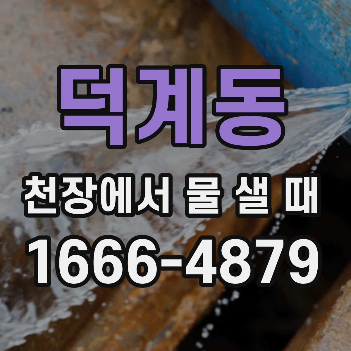 덕계동 천장에서 물 샐 때