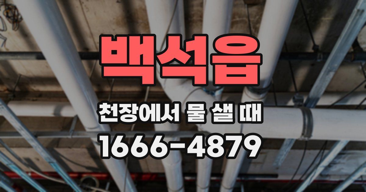 백석읍 천장에서 물 샐 때