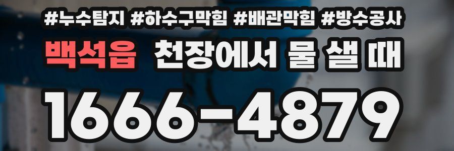 백석읍 천장에서 물 샐 때