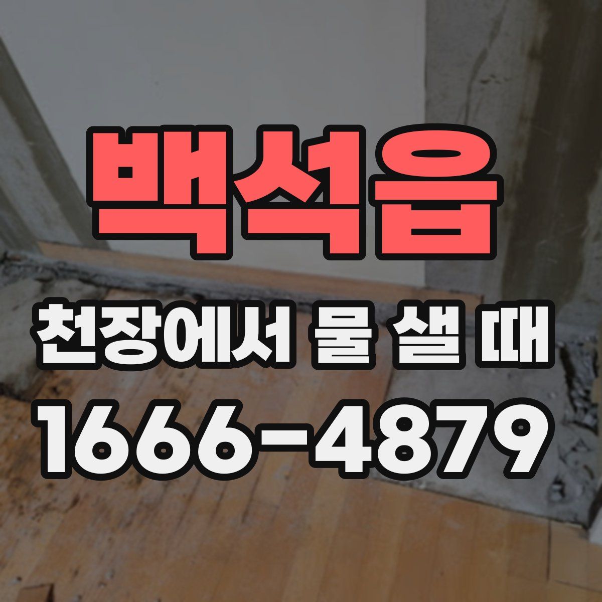 백석읍 천장에서 물 샐 때