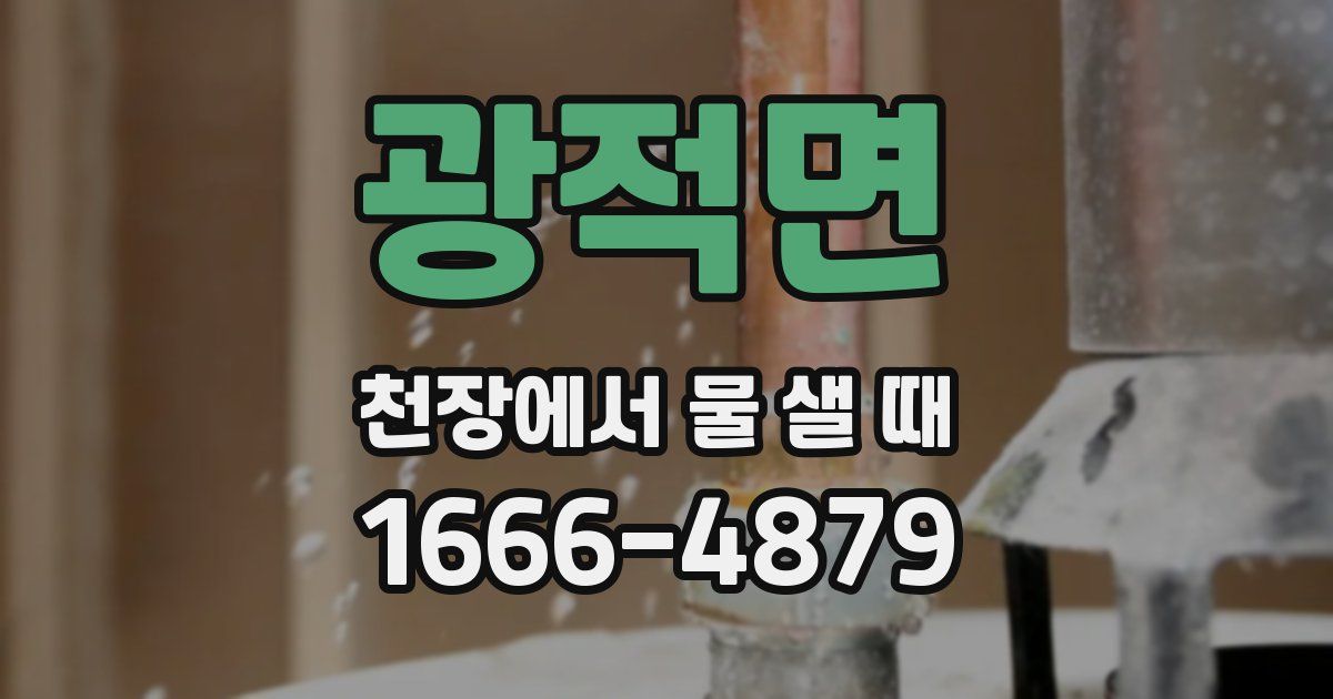 광적면 천장에서 물 샐 때