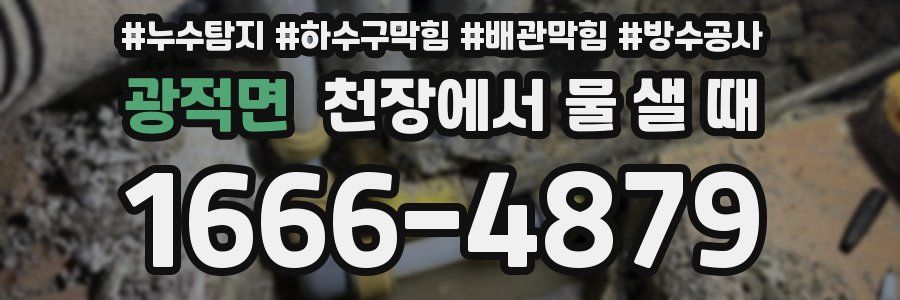 광적면 천장에서 물 샐 때