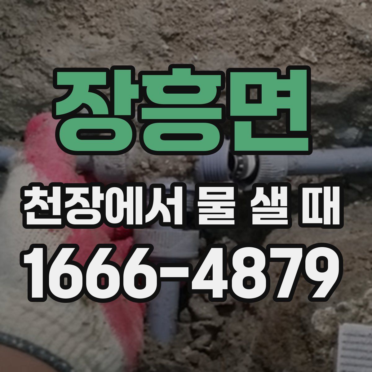 장흥면 천장에서 물 샐 때