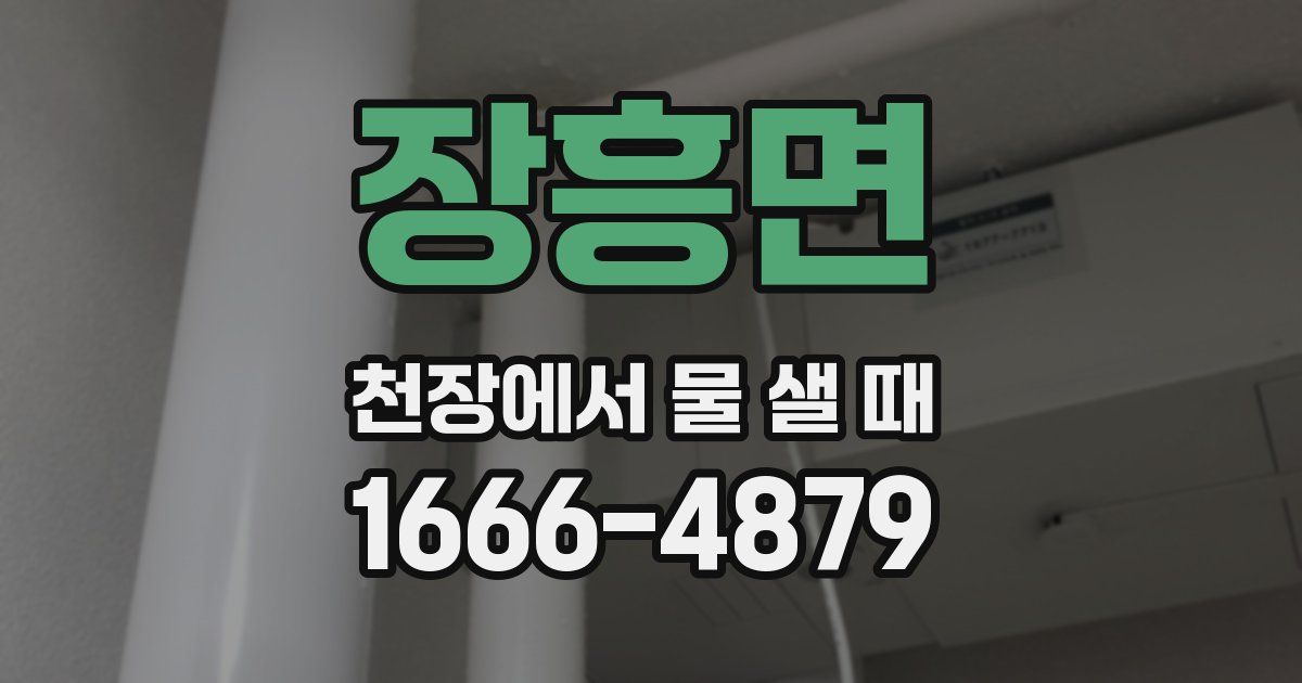 장흥면 천장에서 물 샐 때