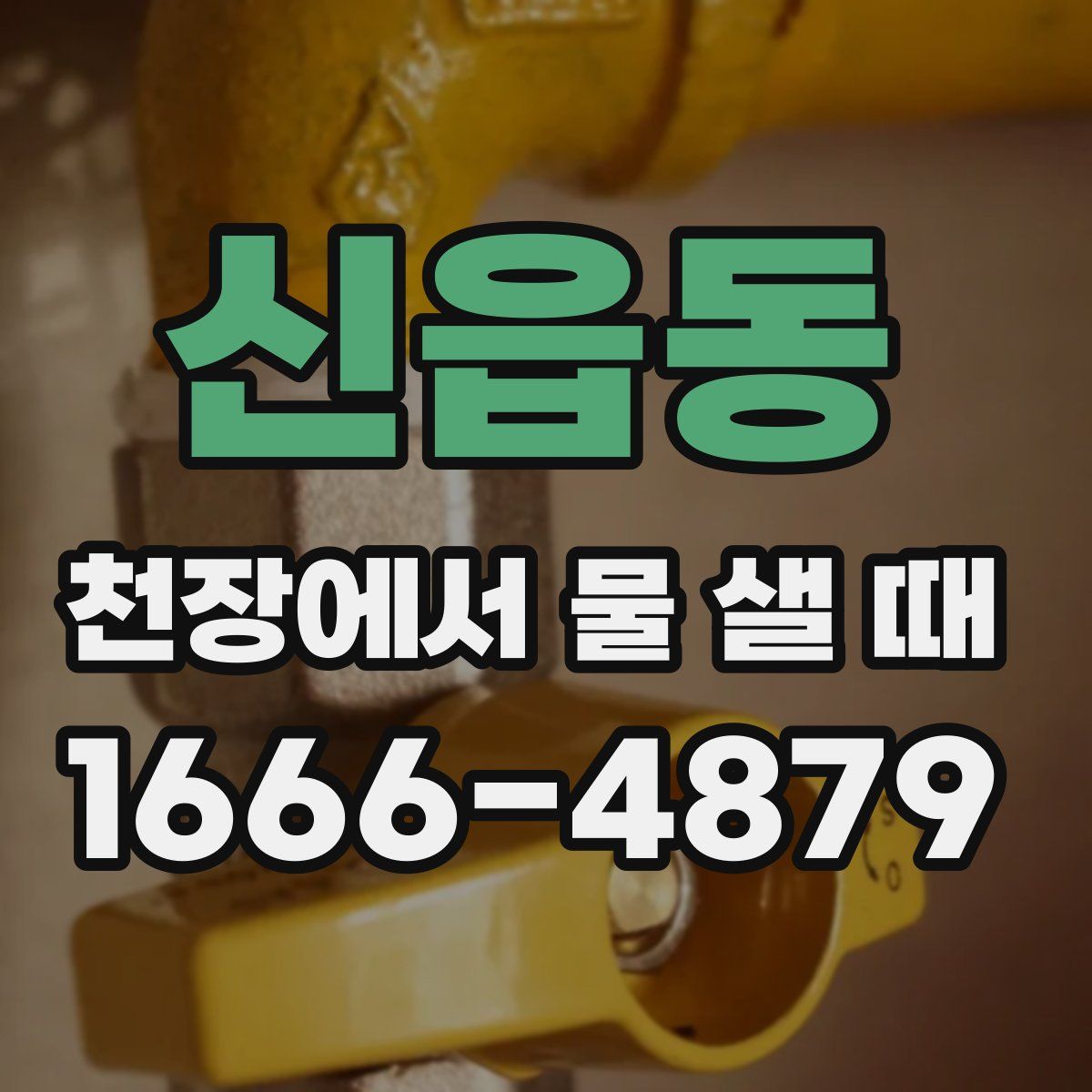 신읍동 천장에서 물 샐 때