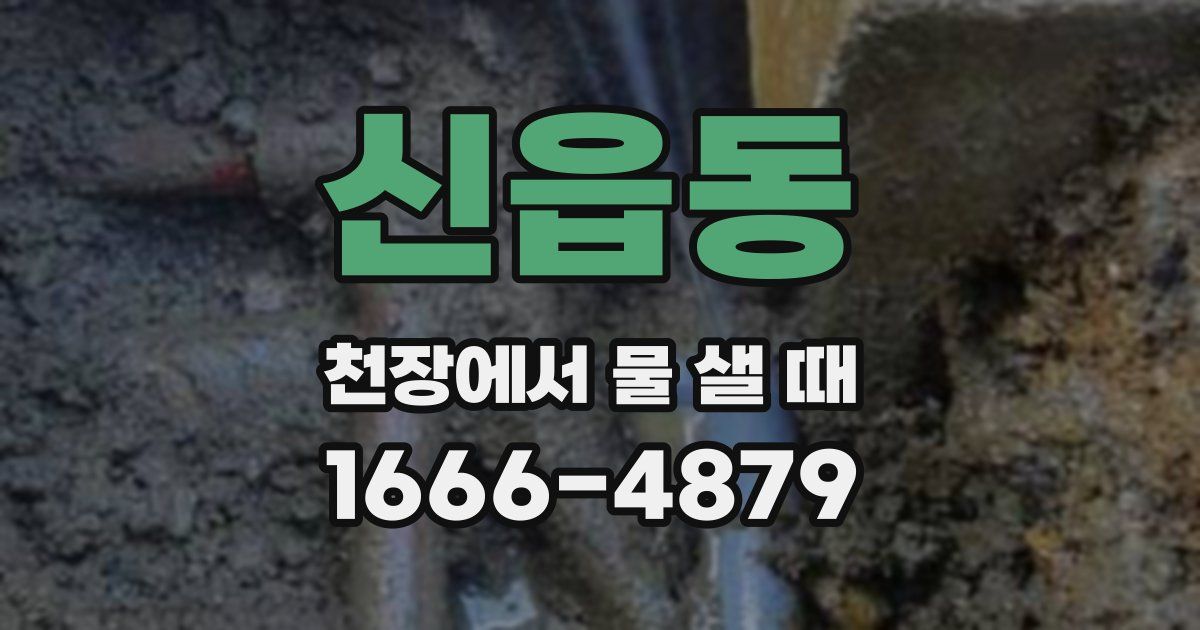 신읍동 천장에서 물 샐 때