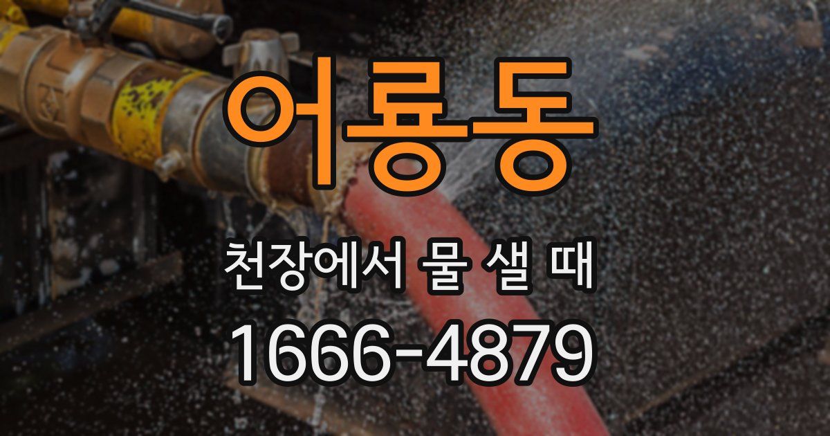 어룡동 천장에서 물 샐 때