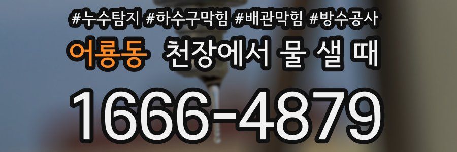 어룡동 천장에서 물 샐 때