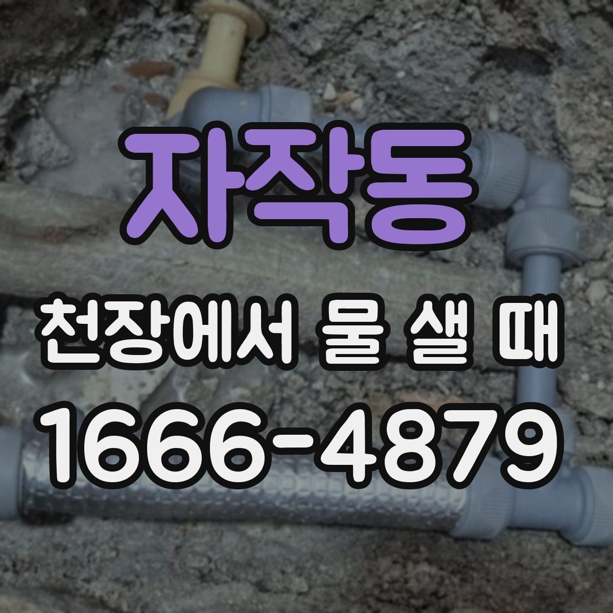 자작동 천장에서 물 샐 때