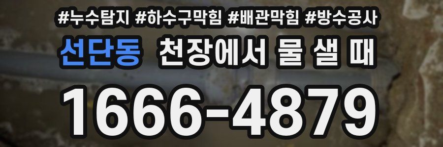 선단동 천장에서 물 샐 때