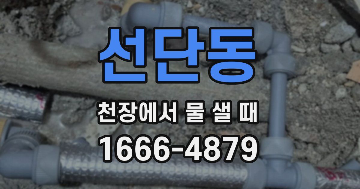 선단동 천장에서 물 샐 때
