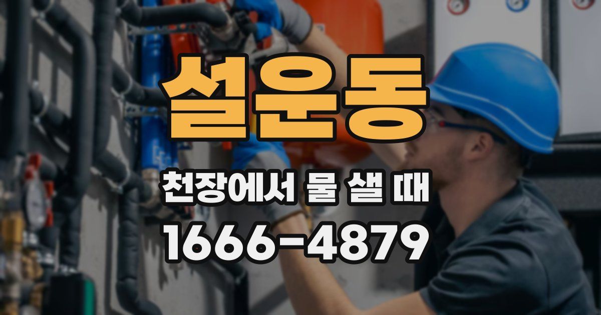 설운동 천장에서 물 샐 때