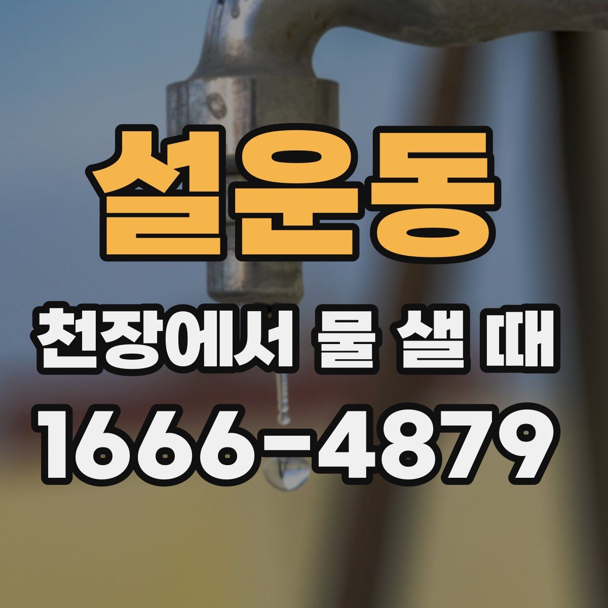 설운동 천장에서 물 샐 때