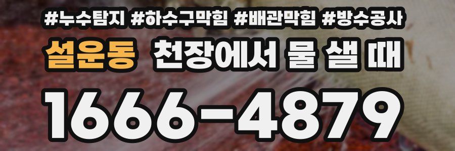 설운동 천장에서 물 샐 때