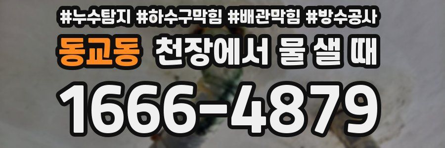 동교동 천장에서 물 샐 때