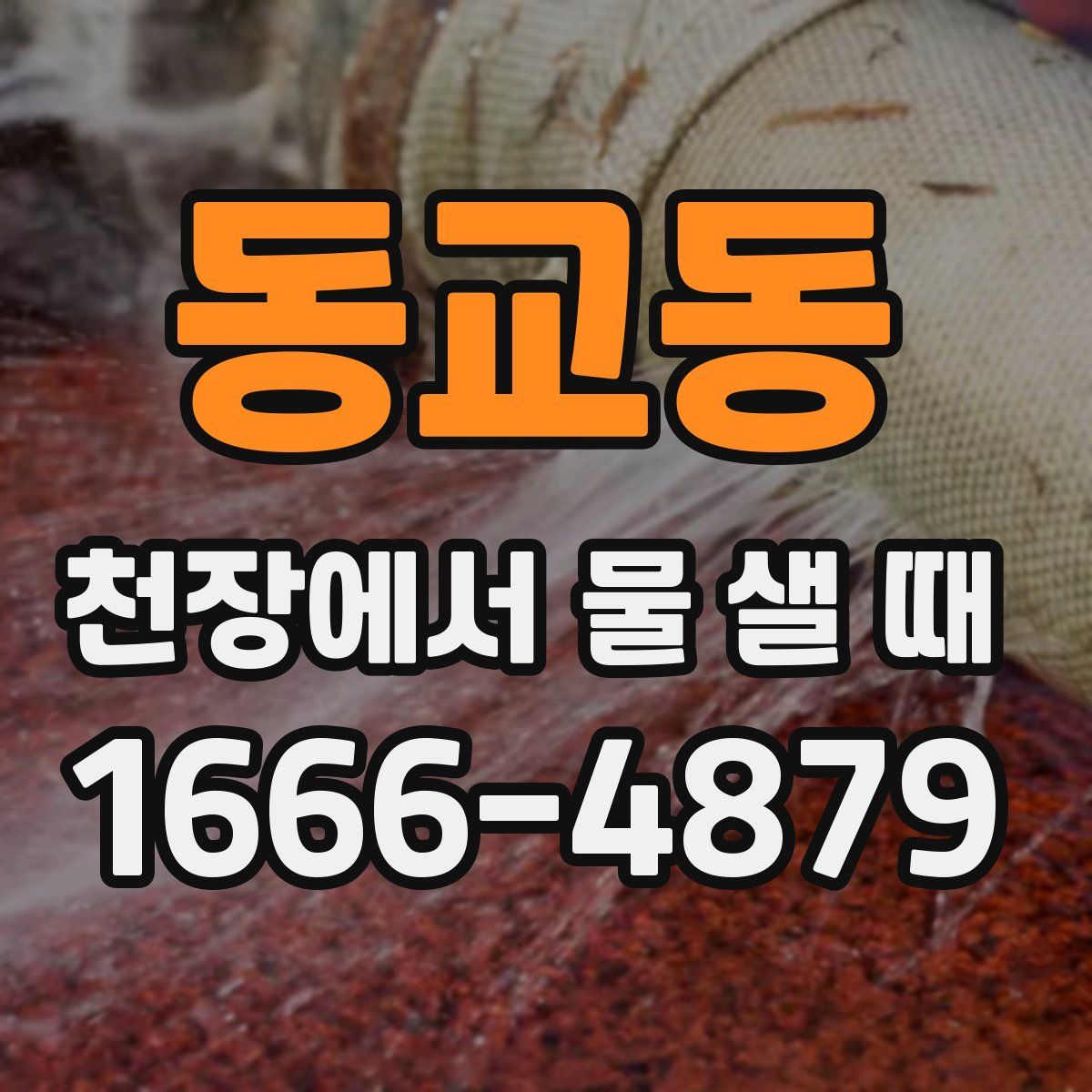 동교동 천장에서 물 샐 때